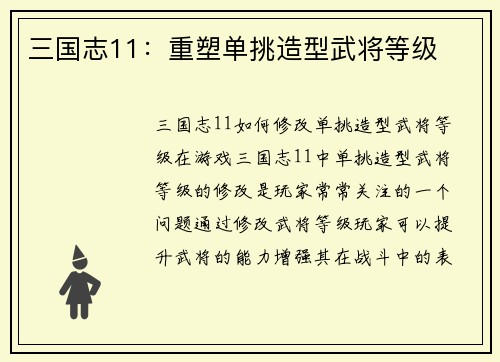 三国志11：重塑单挑造型武将等级